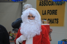 Les marchés de Noël à la Roche-sur-Yon , l'Epine, Thorigny ... 