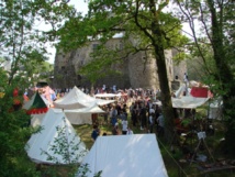 6ème Rassemblement Européen de Compagnies Médiévales au Château de Saint Mesmin  ce dimanche 28 avril de 14h30 à 18h30