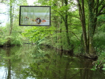 La nature XXL, exposition de photos en plein air du 26 mai au 30 septembre La nature XXL, exposition de photos en plein air du 26 mai au 30 septembre