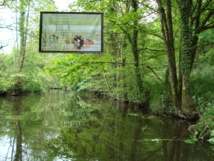 La nature XXL, exposition de photos en plein air du 26 mai au 30 septembre