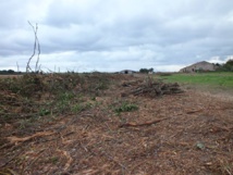 L’association brétignollaise La Vigie s’élève contre le saccage des abords de la ferme de la Normandelière L’association brétignollaise La Vigie s’élève contre le saccage des abords de la ferme de la Normandelière