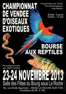 Championnat de Vendée d’Oiseaux exotiques et Bourse aux reptiles à La Roche sur Yon ce dimanche Championnat de Vendée d’Oiseaux exotiques et Bourse aux reptiles à La Roche sur Yon ce dimanche