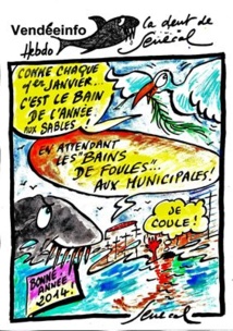 Vendeeinfo vous souhaite une bonne année 2014