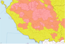 Zone de surveillance (en jaune) comprenant toutes les exploitations situées sur le territoire des communes non listées  (en zone de protection.Zone de protection (en rose)  comprenant toutes les exploitations situées dans le territoire des communes