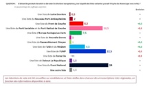 Réaction de Yannick MOREAU, Député de la Vendée littorale, suite aux résultats des élections européennes. Réaction de Yannick MOREAU, Député de la Vendée littorale, suite aux résultats des élections européennes.