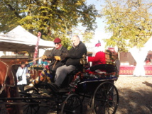 Les Marchés de Noël en Vendée Les Marchés de Noël en Vendée