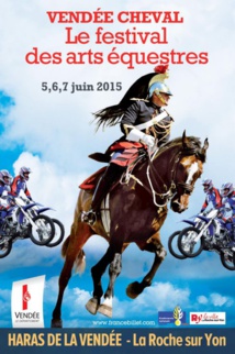 Vendée cheval, le festival des arts équestres