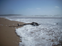 Fréquentation Touristique en Vendée premières tendances juillet 2024 Fréquentation Touristique en Vendée premières tendances juillet 2024