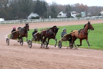 Tout savoir sur le trot avant le prix de Cornulier et le prix d'Amérique Tout savoir sur le trot avant le prix de Cornulier et le prix d'Amérique