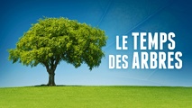 En Vendée, éduquer les enfants aux enjeux agricoles de demain par la plantation d’arbres En Vendée, éduquer les enfants aux enjeux agricoles de demain par la plantation d’arbres