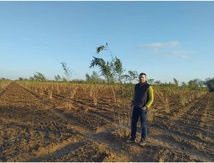 Diversification agricole: la culture du bambou se développe en Vendée avec Horizom Diversification agricole: la culture du bambou se développe en Vendée avec Horizom