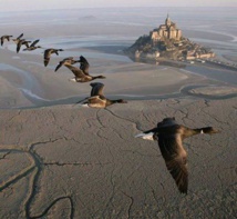 Bonne année 2016 Bonne année 2016