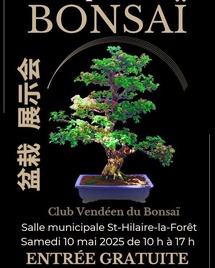 Saint-Hilaire-la-Forêt : exposition de Bonsaï samedi 10 mai de 10h00 à 17h00