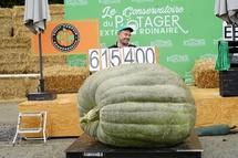 Photo : le Potager extraordinaire