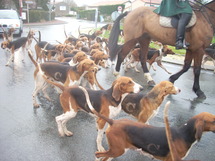 La Chaize le Vicomte fête de la chasse et de la nature les 26 et 27 juillet La Chaize le Vicomte fête de la chasse et de la nature les 26 et 27 juillet