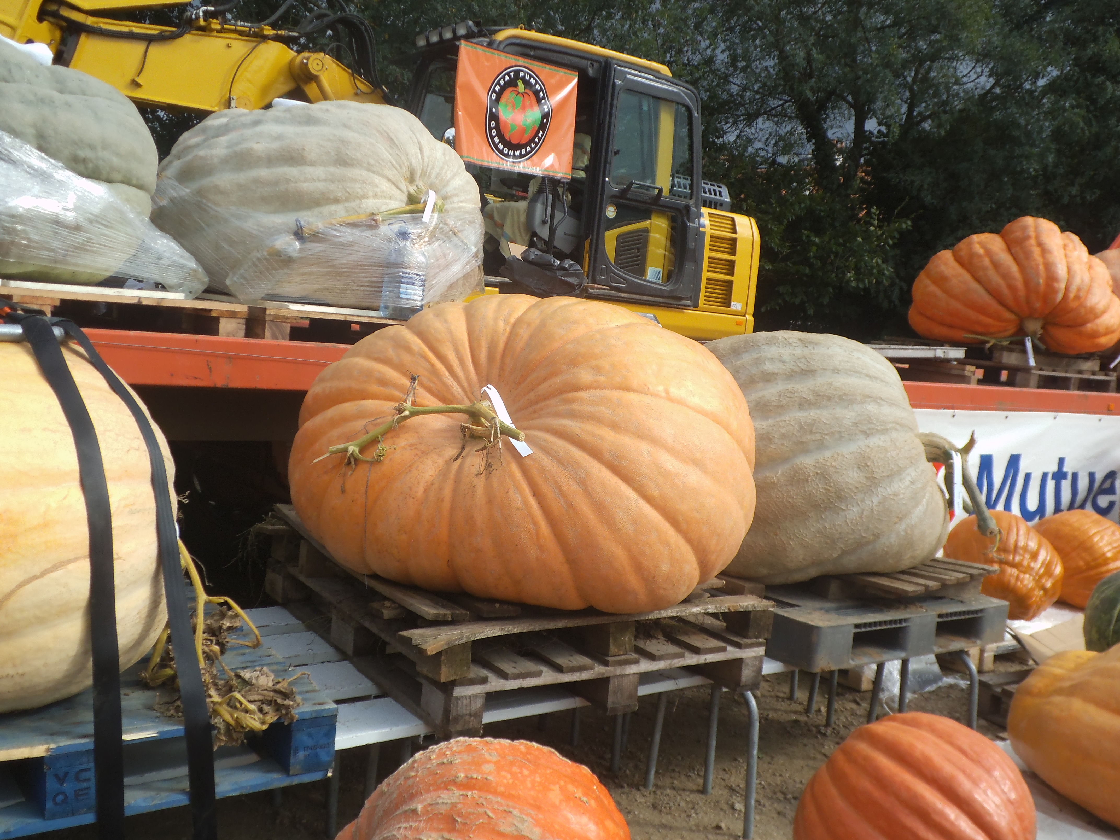 Le Girouard : "1001 potages de courges" dimanche 10 novembre