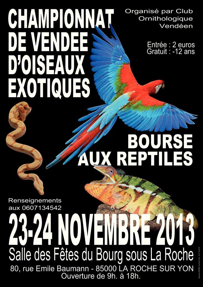 Championnat de Vendée d’Oiseaux exotiques et Bourse aux reptiles à La Roche sur Yon ce dimanche
