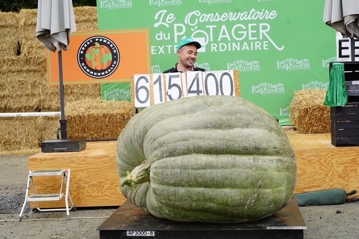 Photo : le Potager extraordinaire