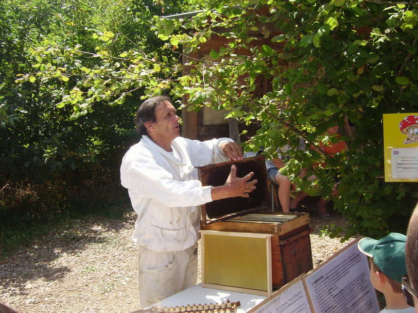 Poiroux : Folie de Finfarine fête du miel  les 23 et 24 juillet