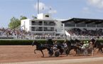 13e réunion hippique de la saison ce samedi soir à La Malbrande