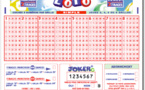 Loto : le 35e millionnaire de l’année est un joueur vendéen, il remporte 2 millions d’euros !