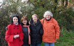 Talmont Saint-Hilaire : 50 000 bulbes de tulipes seront plantés pour la recherche médicale  