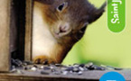 Saint-Jean-de-Monts accueille les 3 et 4 octobre le salon du développement durable et de l'éco-habitat Naturel
