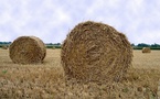 Appel du Préfet à la plus grande limitation possible du broyage des pailles