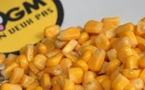 Dominique SOUCHET demande le maintien du moratoire sur le maïs OGM Monsanto