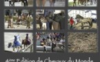 Chevaux du Monde au Haras de la Vendée les 8 et 9 septembre