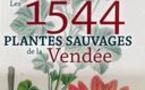 Alfred Hérault, botaniste : "Voilà le bébé !"