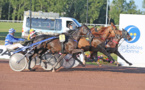 Hippodrome de la Malbrande: prix de la Ville des Sables ce lundi 