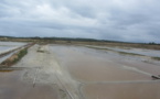 Le chiffre du jour : 5009 tonnes , production record pour les sauniers et saunières de la coopérative de sel de l'île de Noirmoutiers 