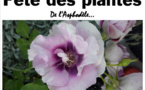 La Roche sur Yon : fête des plantes ce samedi  20 avril