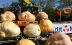 On en parle sur France 3... la Fête de la Citrouille, c'est dimanche ! Le Potager Extraordinaire