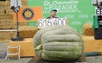 Photo : le Potager extraordinaire 