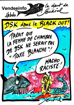 VendéeInfo - DSK dans le Black out !_tres_petite