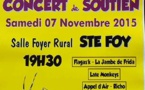 Le foyer Hurlant organise samedi 7 novembre, Traine Savate