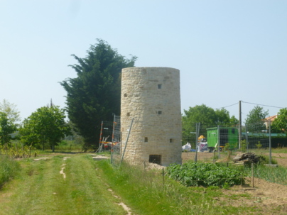 Moulin à pivot des Hautes-Mers des XII e et XIII e siècles Moulin à pivot des Hautes-Mers des XII e et XIII e siècles