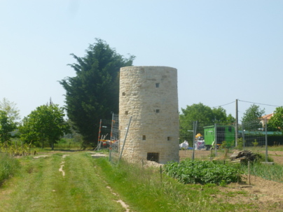 Moulin à pivot des Hautes-Mers des XII e et XIII e siècles
