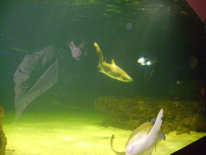 L’Aquarium : un espace de biodiversité marine à découvrir