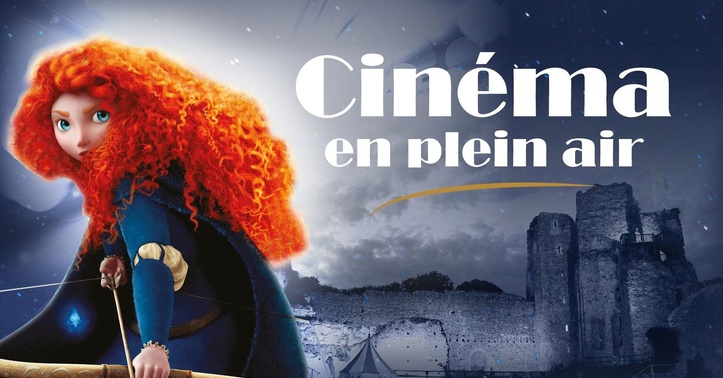 Une séance de cinéma en plein aire le vendredi 13 août 