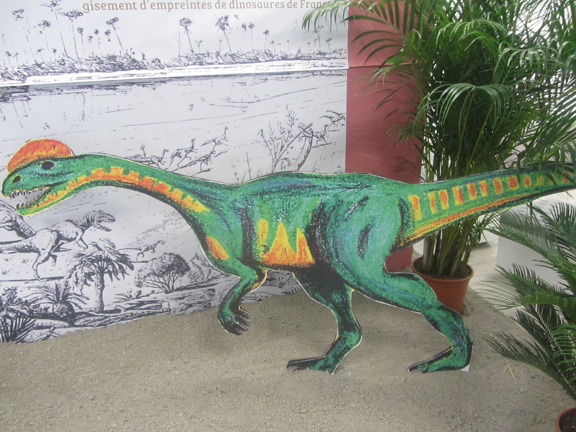 Des empruntes de dinosaures au Veillon : des vestiges vieux de 200 millions d'années Des empruntes de dinosaures au Veillon : des vestiges vieux de 200 millions d'années