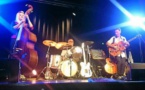 « Ducky Jim Trio » en concert au Baratheme