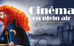 Une séance de cinéma en plein aire le vendredi 13 août 